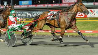 Dashman's harness examination - March 9